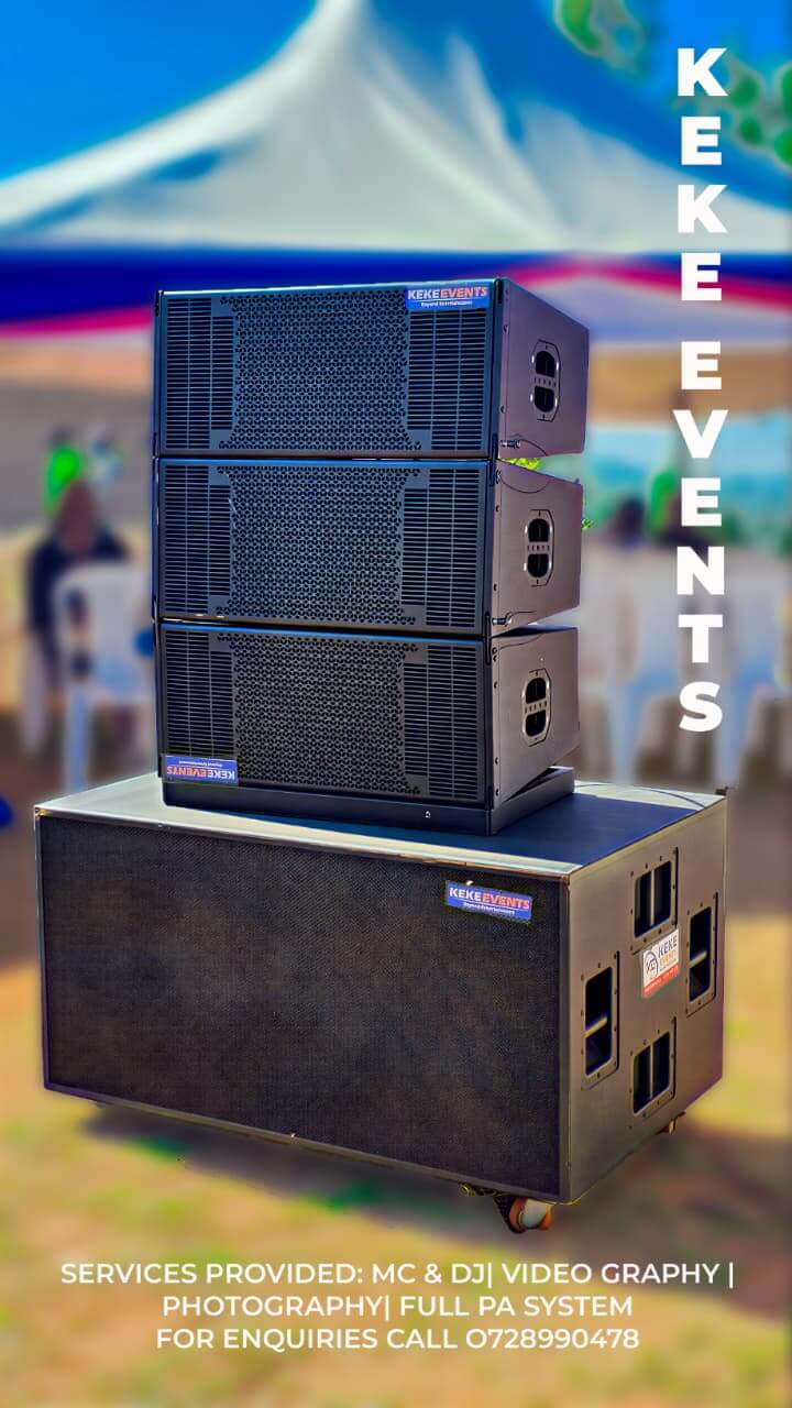 Professional PA system setup